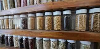 Semillas guatemaltecas serán conservadas en la Bóveda Global de Svalbard.