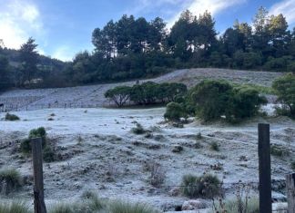 El frío registrado en las últimas horas en territorio nacional continuará, de acuerdo al Insivumeh.