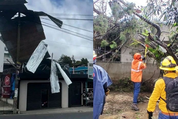 Árboles caídos y techos volados reportados por las autoridades a causa del fuerte viento. Foto La Hora: Asonbomd / Conred