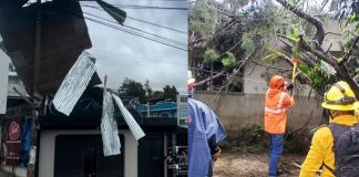 Árboles caídos y techos volados reportados por las autoridades a causa del fuerte viento. Foto La Hora: Asonbomd / Conred
