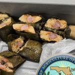 Detienen a ciudadano guatemalteco en EE.UU. por transportar alimentos prohibidos. Foto La Hora: X / Director de Operaciones de Campo para las Oficinas de Campo de Miami y Tampa.