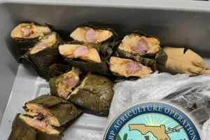 Guatemalteco es sancionado en Estados Unidos por ingresar tamales de cerdo no declarados