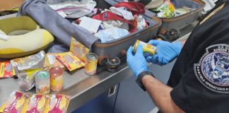 De la maleta al tribunal: Por qué ocultar comida al entrar a EE. UU. puede costarte hasta $10,000. Foto La Hora: X / @DFOFlorida.