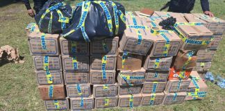 MP reporta decomiso de licor y cigarrillos de contrabando en Alta Verapaz. Foto La Hora: MP.