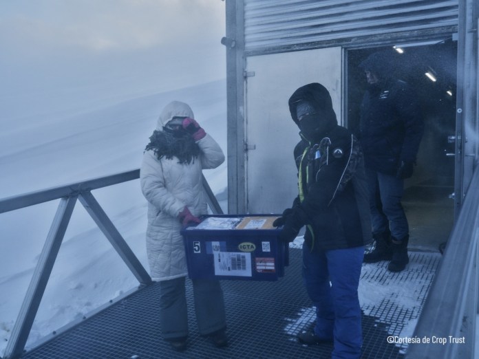 Bóveda del Fin del mundo con semillas guatemaltecas. Foto La Hora: MAGA/Crop Trust