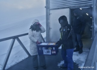 Bóveda del Fin del mundo con semillas guatemaltecas. Foto La Hora: MAGA/Crop Trust