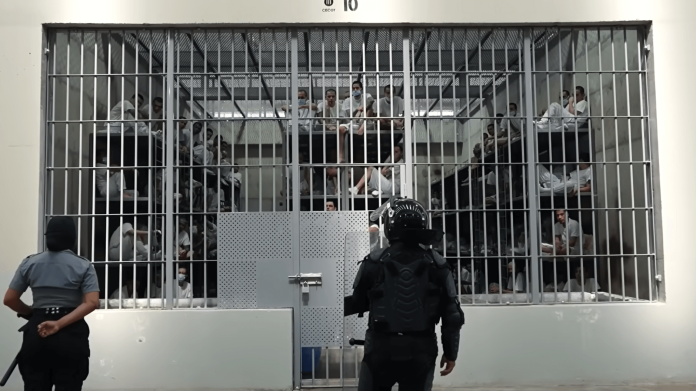 CECOT documental The Greg