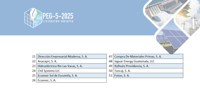 51 empresas ofertaron en el licitación eléctrica. Foto La Hora: EEGSA