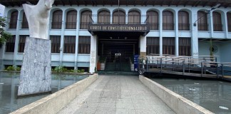 CC envía a Salas dos amparos sobre el voto en el CANG; OJ se encargará de distribuir expedientes