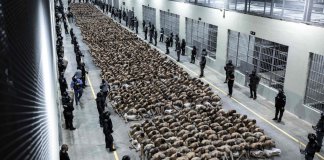 De controlar las cárceles a ser controlados, la realidad de los terroristas en El Salvador