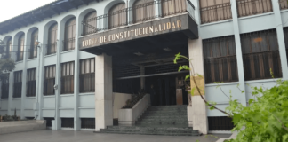 El amicus curiae presentado en la CC para que profesionales afines voten en la convocatoria del CANG