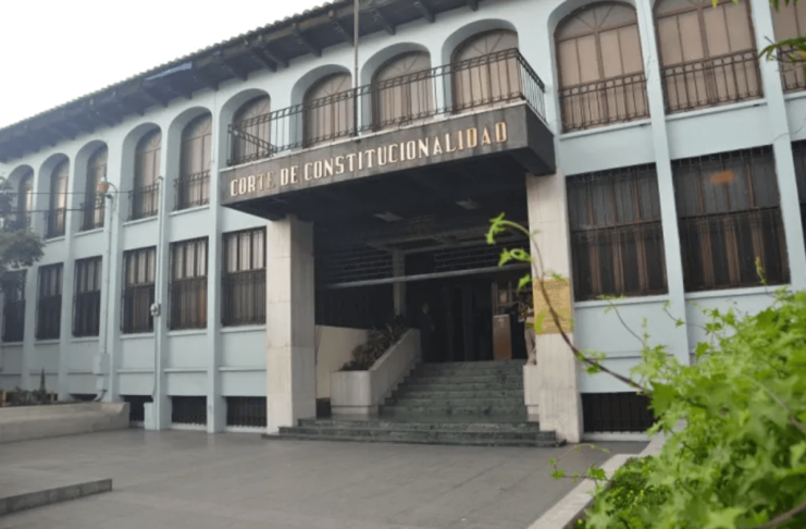 El amicus curiae presentado en la CC para que profesionales afines voten en la convocatoria del CANG