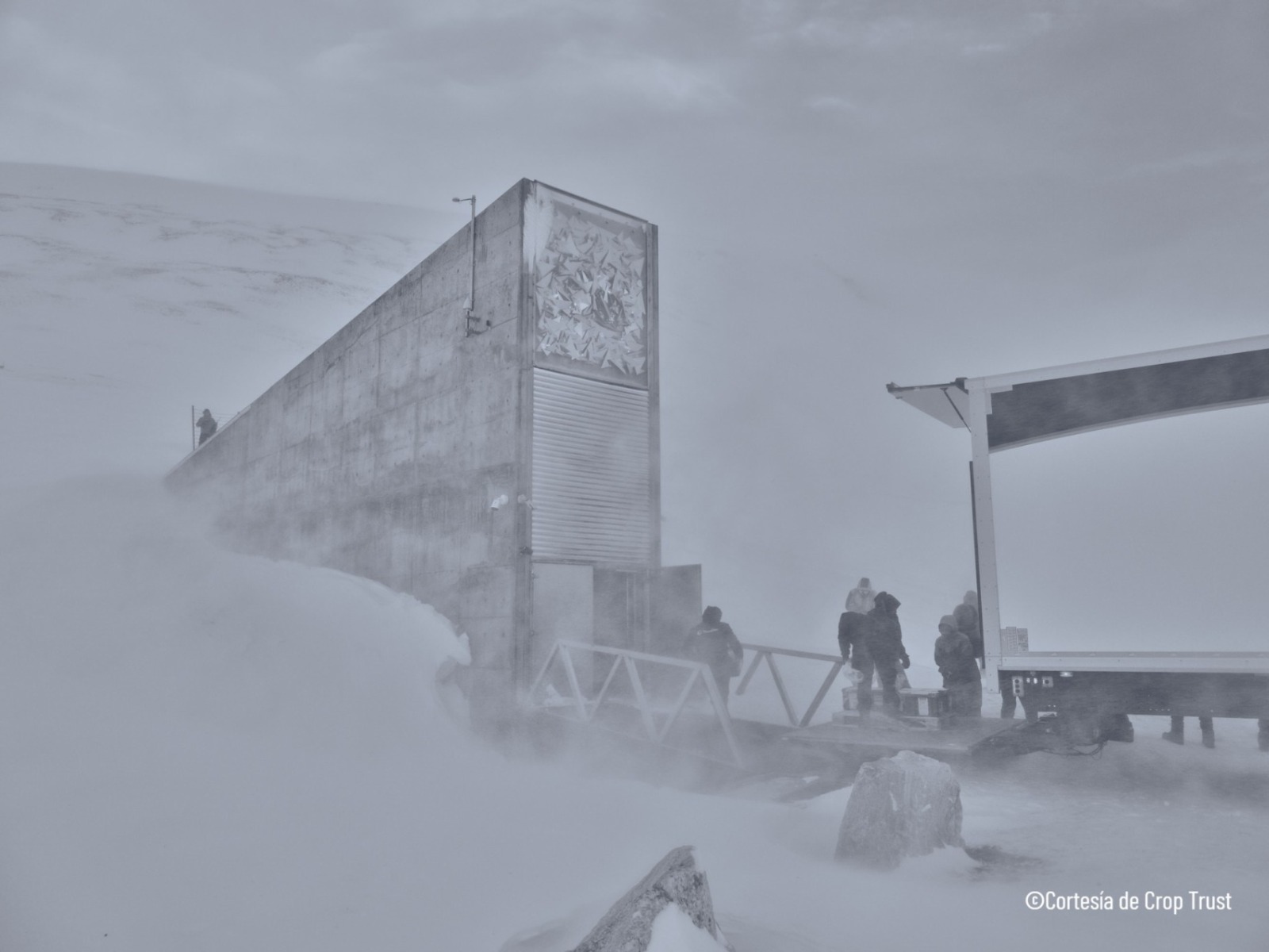Banco Mundial de Semillas de Svaldbard. Foto La Hora: MAGA/Crop Trust