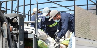 Proyecto de Guatemaltecos por la Nutrición en Cuilco vincula gestión ambiental y nutrición infantil. Foto: Cortesía Guatemaltecos por la Nutrición.