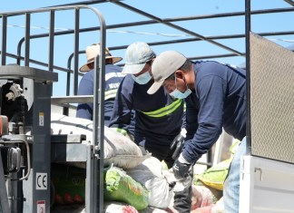 Proyecto de Guatemaltecos por la Nutrición en Cuilco vincula gestión ambiental y nutrición infantil. Foto: Cortesía Guatemaltecos por la Nutrición.