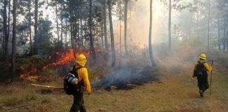 Archivo de incendio forestal siendo liquidado. Foto La Hora: Conred