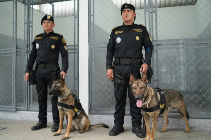 La cooperación entre Guatemala y Estados Unidos en materia de seguridad fue destacada durante la presentación de nuevas instalaciones destinadas a las unidades K-9.