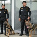 La cooperación entre Guatemala y Estados Unidos en materia de seguridad fue destacada durante la presentación de nuevas instalaciones destinadas a las unidades K-9.