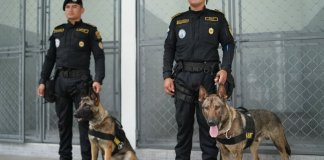 La cooperación entre Guatemala y Estados Unidos en materia de seguridad fue destacada durante la presentación de nuevas instalaciones destinadas a las unidades K-9.