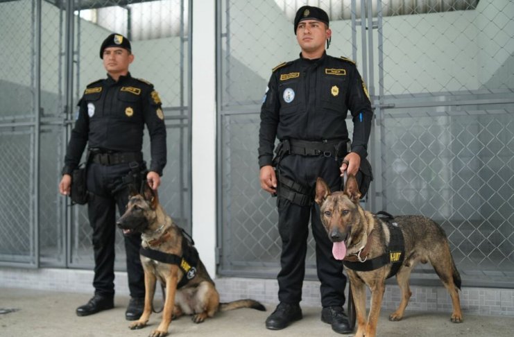 La cooperación entre Guatemala y Estados Unidos en materia de seguridad fue destacada durante la presentación de nuevas instalaciones destinadas a las unidades K-9.