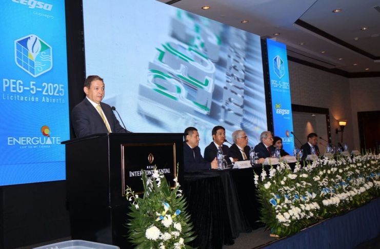 Las 51 empresas que presentaron ofertas en la PEG-5-2025, la mayor licitación eléctrica del país