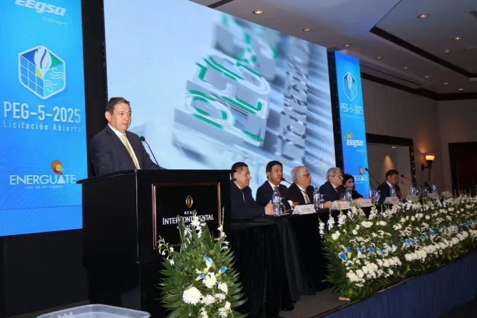 Las 51 empresas que presentaron ofertas en la PEG-52025 la mayor licitacion electrica del pais Las 51 empresas que presentaron ofertas en la PEG-5-2025, la mayor licitación eléctrica del país