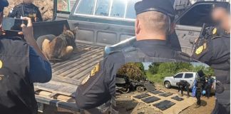 Localizan picop con paquetes ilícitos en Retaulehu. Foto La Hora: Mingob