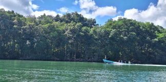 Autoridades de Diprona y el Conap realizaron patrullajes en las costas del Caribe de Izabal para buscar evitar la pesca ilegal. Foto La Hora: MAGA