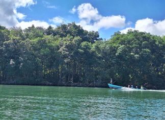 Autoridades de Diprona y el Conap realizaron patrullajes en las costas del Caribe de Izabal para buscar evitar la pesca ilegal. Foto La Hora: MAGA