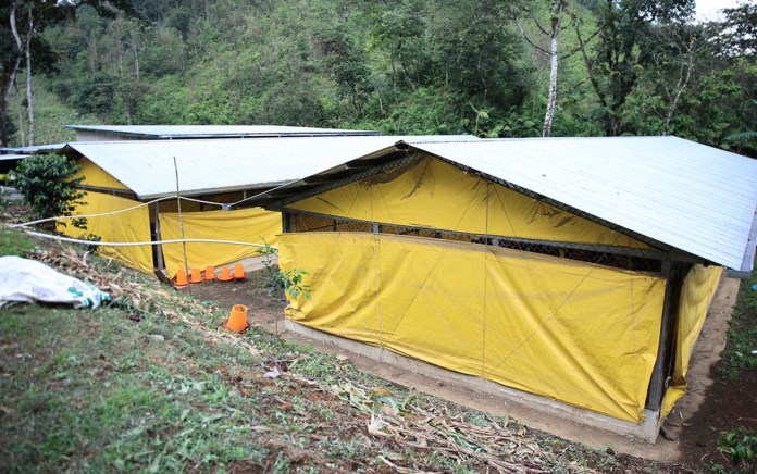 El Ministerio de Agricultura, Ganadería y Alimentación (MAGA) alertó a los productores del país ante el ingreso de una semana marcada por frío intenso y fuertes vientos.
