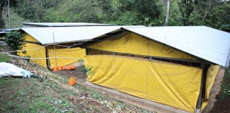 El Ministerio de Agricultura, Ganadería y Alimentación (MAGA) alertó a los productores del país ante el ingreso de una semana marcada por frío intenso y fuertes vientos.