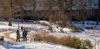 Archivo de personas caminando por la nieve en el Central Park de Nueva York. Foto La Hora: EFE