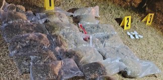 Autoridades de seguridad reportaron este lunes 23 de febrero el hallazgo de 29 bolsas con ilícitos.