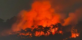 El incendio se agudizó el sábado por la noche, cuando se observaba el fuego desde la distancia. Foto: Conred
