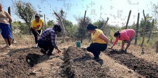 Archivo de producción agropecuaria. Foto La Hora: Maga