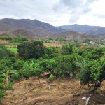 Las variaciones extremas de temperatura previstas para esta semana podrían impactar la producción agrícola. Foto La Hora: MAGA.