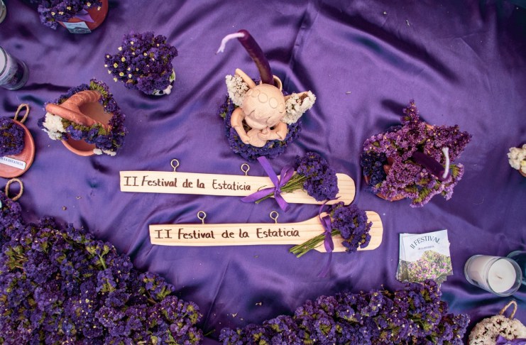 Conocida popularmente como "siempreviva" o "inmortal", esta flor es el elemento principal en la elaboración de las efímeras alfombras de aserrín.