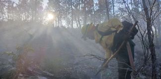 Un bombero trabaja para controlar un incendio forestal