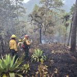 Archivo incendio forestal en el área protegida de la Reserva de la Biosfera Sierra de las Minas. Foto La Hora: Conred