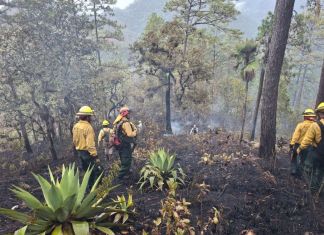 Archivo incendio forestal en el área protegida de la Reserva de la Biosfera Sierra de las Minas. Foto La Hora: Conred