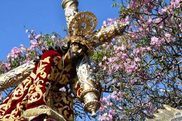 Jesus de la caida La Consagrada imagen de Jesús Nazareno de la Caída saldrá nuevamente en procesión este Quinto Domingo de Cuaresma. Foto La Hora: Sergio Osegueda