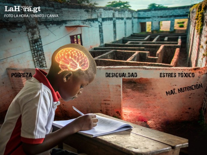 El desarrollo del potencial humano. Foto: La Hora