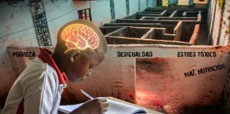 El desarrollo del potencial humano. Foto: La Hora