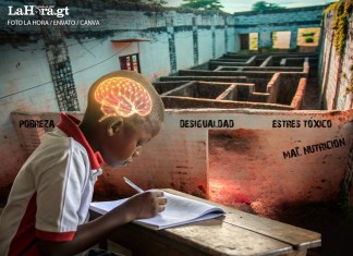 El desarrollo del potencial humano. Foto: La Hora