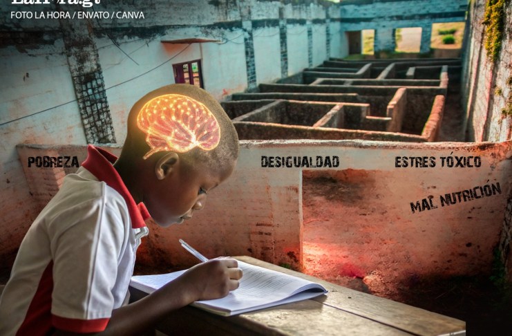 El desarrollo del potencial humano. Foto: La Hora