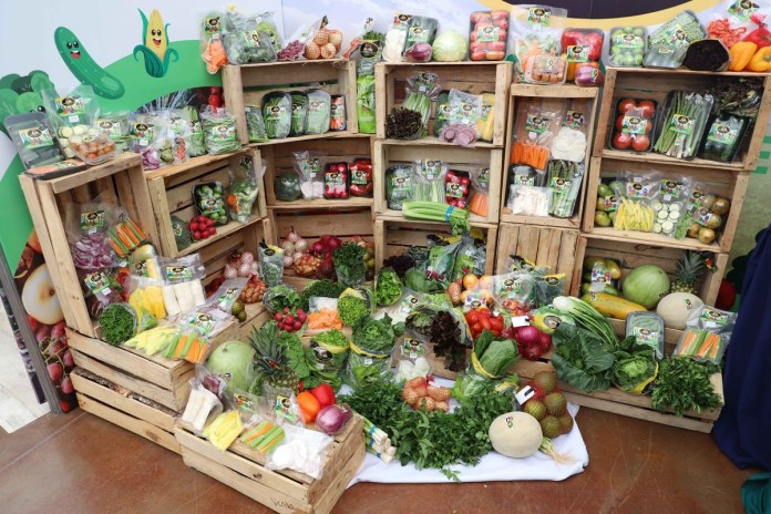 La plataforma para la exportación de los mejores productos agrícolas del país inicia la próxima semana