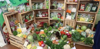 La plataforma para la exportación de los mejores productos agrícolas del país inicia la próxima semana