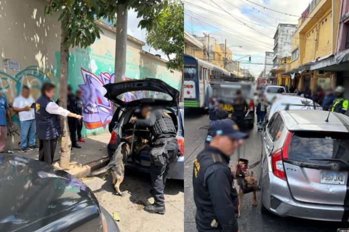 Las fuerzas de seguridad identificaron a cien personas y revisaron varios vehículos luego de denuncias de turistas víctimas de grupos criminales. Foto La Hora: MP