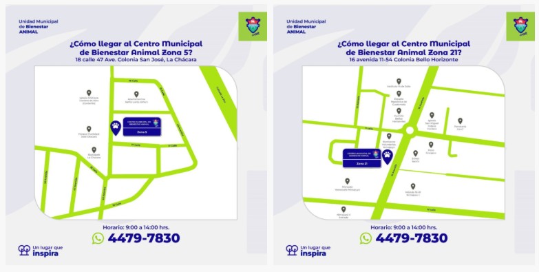 Más de 80 perros están listos para adopción. Foto La Hora: MuniGuate.