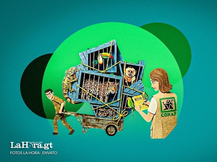 Arte La Hora: Jesús Ríos.